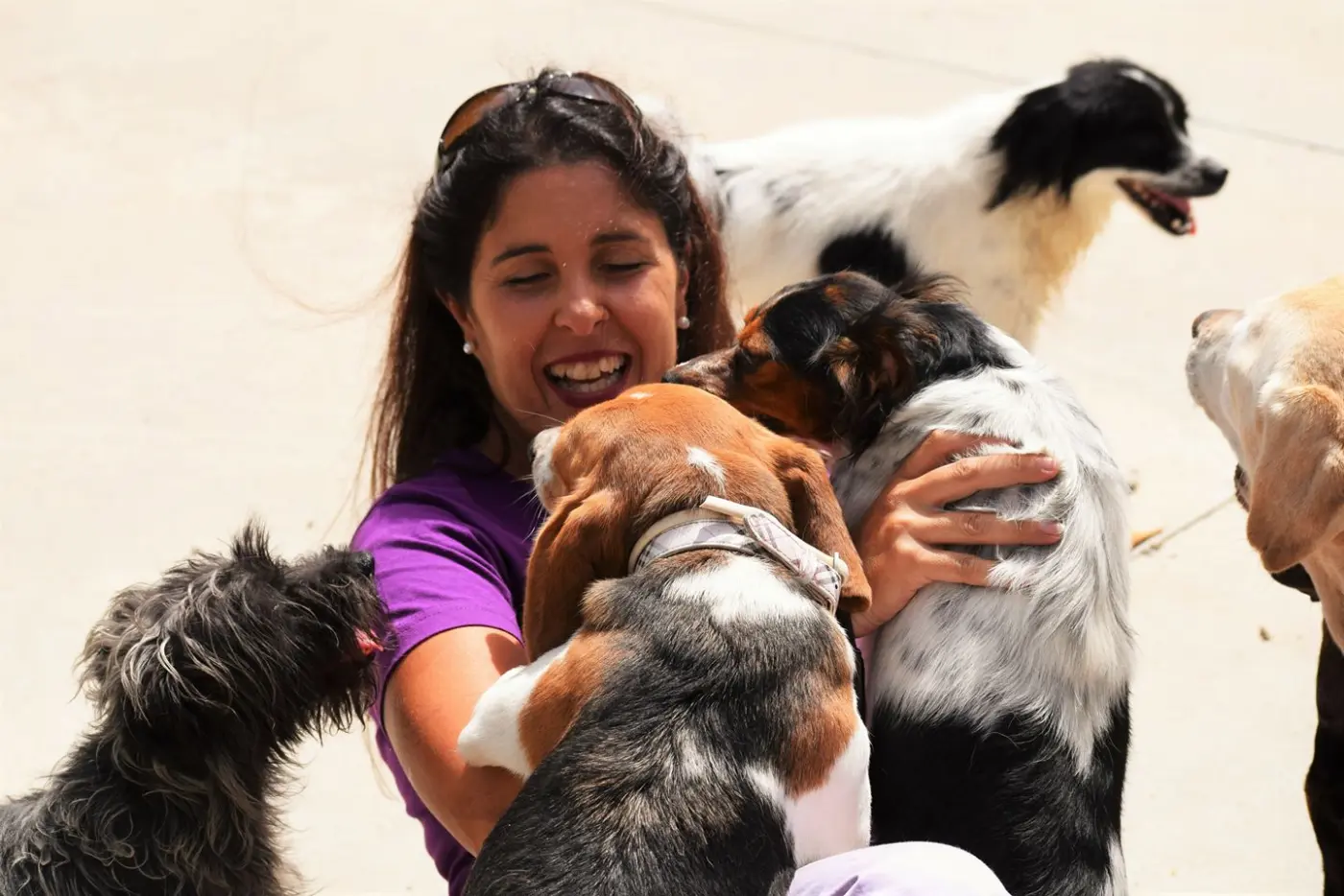 Voluntaria abrazando a varios perros del refugio